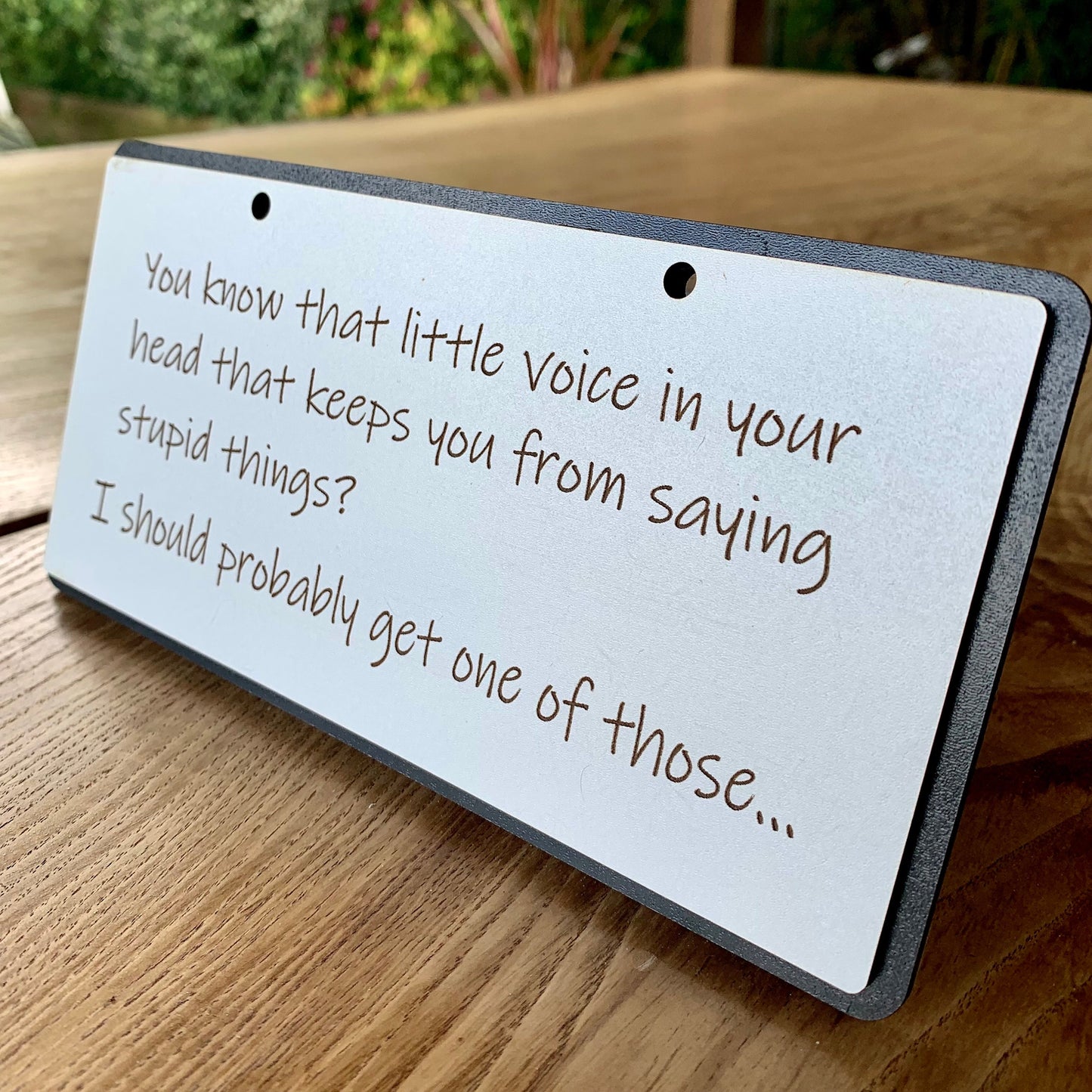 Funny Wooden Sign, Insulting decor, Rude Quote, Little Voice In Your Head, House Plaque