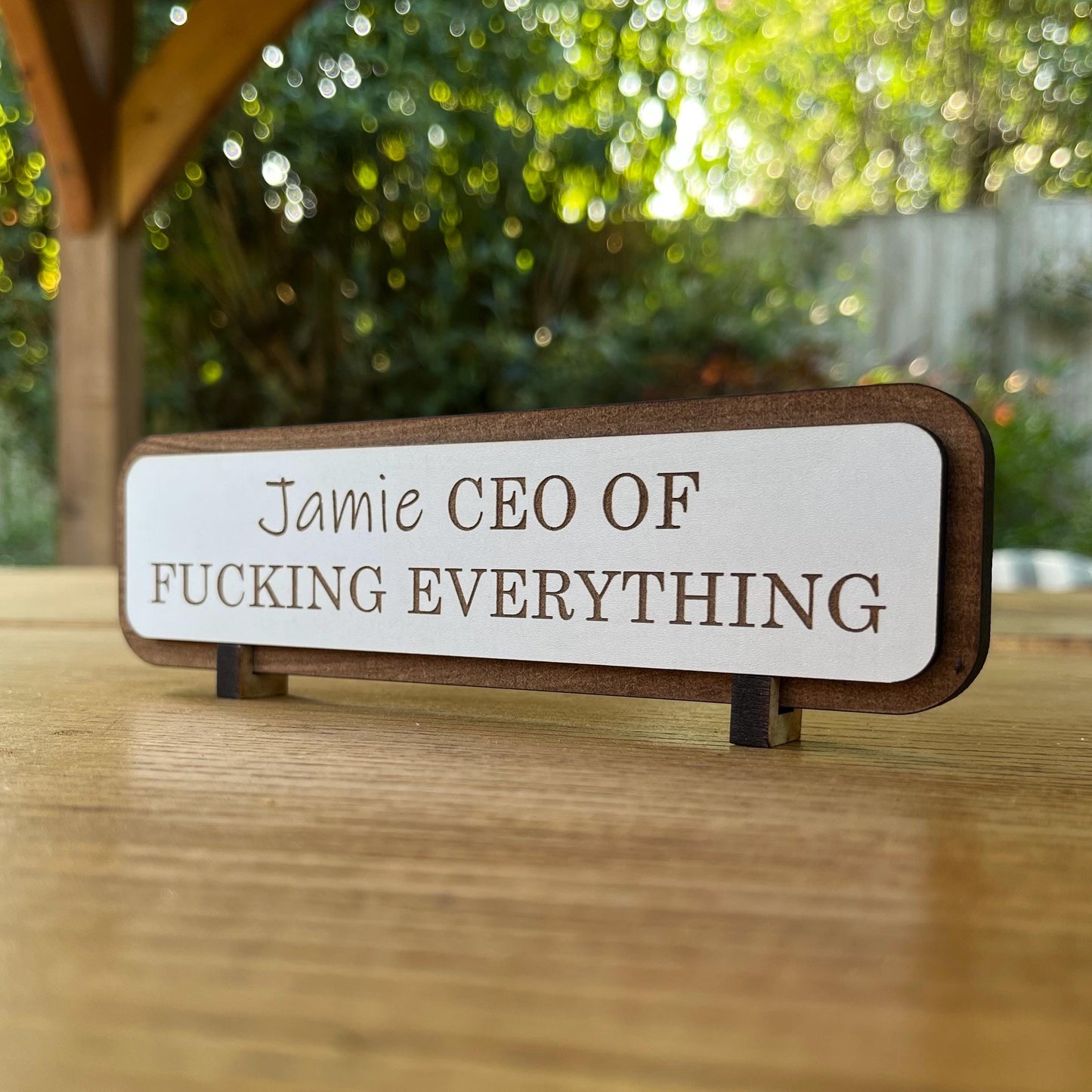 Funny Personalised Work Desk Sign, Name Plate Sign, I Am A Fucking Professional , Office Wooden Plaque