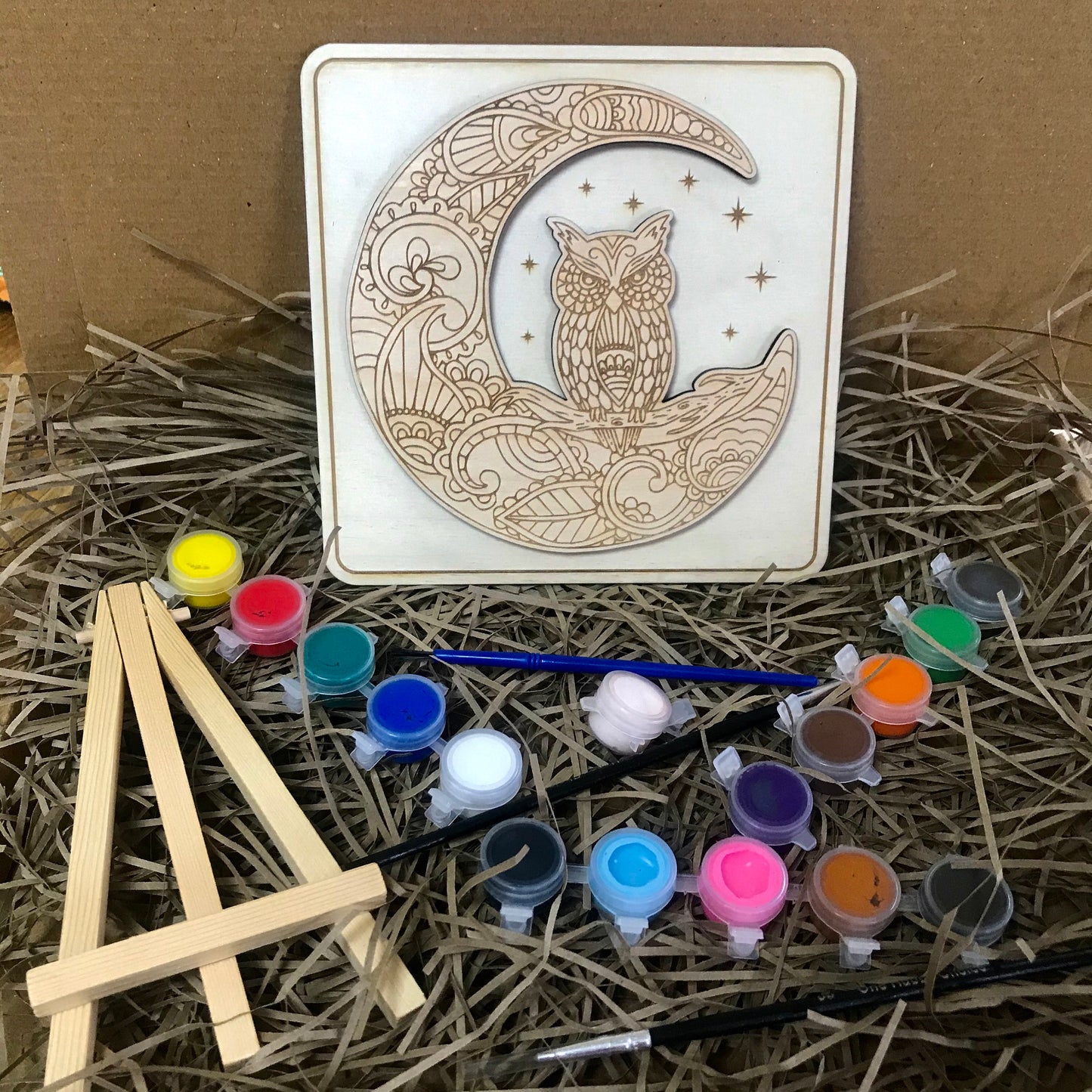 DIY Owl Mandala Paint Kit: Wooden Craft Kit for Adults