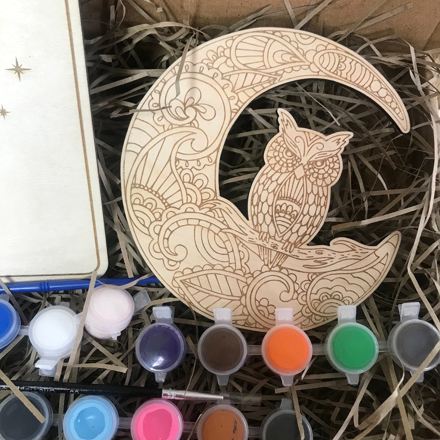 DIY Owl Mandala Paint Kit: Wooden Craft Kit for Adults