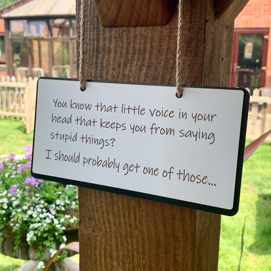 Funny Wooden Sign, Insulting decor, Rude Quote, Little Voice In Your Head, House Plaque