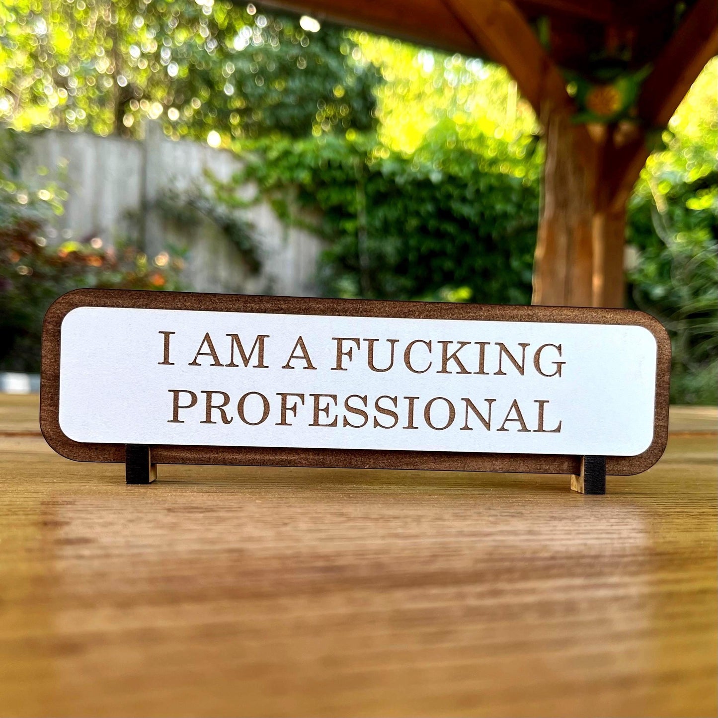 Funny Work Desk Sign, Name Plate Sign, I Am A Fucking Professional Office Wooden Plaque